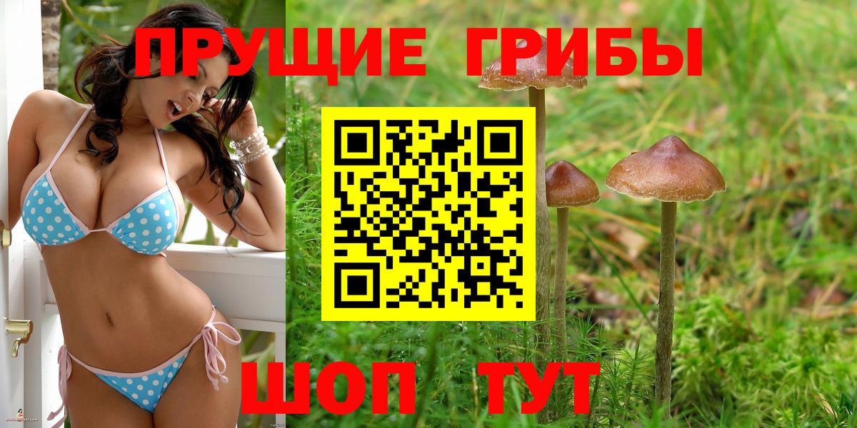 Псилоцибиновые грибы Magic Shrooms Свободный
