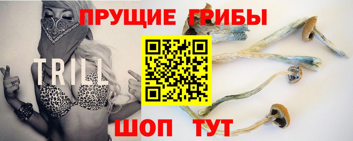 Псилоцибиновые грибы Psilocybe  Вход с VPN  Галлюциногенные грибы ЛСД  Свободный 